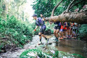 BIB: 
                            <button type="button" onclick="openModal(25467557)" class="btn btn-primary btn-sm float-right btn-popup" data-toggle="modal" data-target=".modal-high-quality">
                        <i class="fas fa-shopping-cart"></i> Add to Cart
                    </button>
                                            <button type="button" onclick="isThisMe(25467557, true)" class="btn btn-success btn-sm float-right btn-popup btn-isme hidden" data-toggle="tooltip" data-placement="bottom" title="นี่คือรูปของคุณใช่ไหม คลิกที่นี่เพื่อเอาเข้าอัลบั้ม">
                        <i class="fas fa-plus"></i> Add to album
                    </button>
                    <button type="button" onclick="isThisMe(25467557, false)" class="btn btn-warning btn-sm float-right btn-popup btn-isnotme hidden">
                        <i class="fas fa-ban"></i> Remove from album
                    </button>